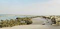 Lush mangrove lagoon in Sir Bani yas.jpg