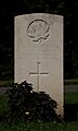CathaysCemy CWGSection CanadianEngineers.jpg
