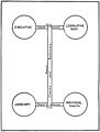 Back to the Republic Page 57 -Diagram of the Constitution.jpg