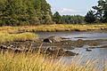 Great Bay National Wildlife Refuge (4149550669).jpg