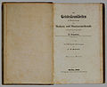 202 Esquirol 1838.jpg