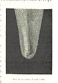 Image taken from page 331 of 'L'Espace céleste et la nature tropicale, description physique de l'univers ... préface de M. Babinet, dessins de Yan' Dargent' (11052581493).jpg
