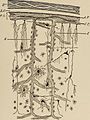 Nervous and mental diseases (1919) (14801289123).jpg