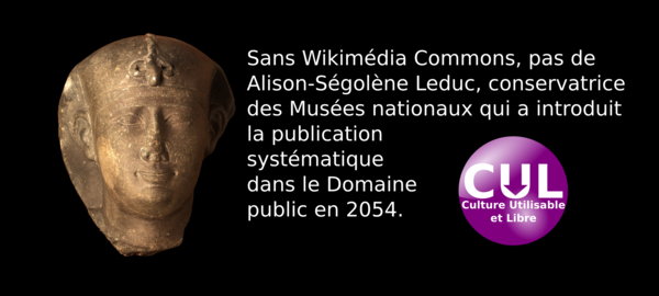 Culture utilisable et libre.png