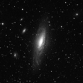 NGC7331.gif