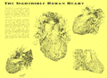 Animated Heart - Old Textbook style.gif