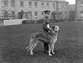 Irish Guards' Mascot - Leitrim Boy.jpg