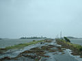 Debris on Beach Road (6094145952).jpg