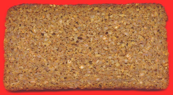 Ein echtes Bio-Vollkornbrot - gebacken von Mestemacher (Gtersloh)